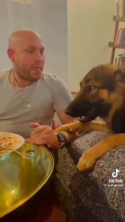Excellent conversation skills...