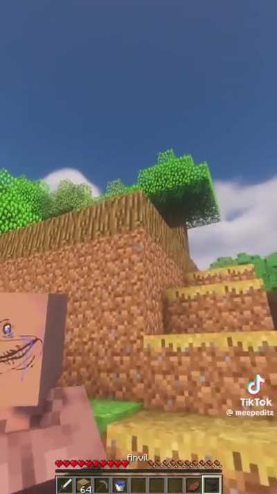 Villager rizz