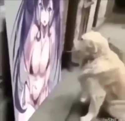 Horny bitch