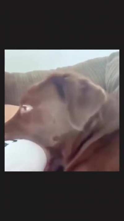 Mmmh boobies