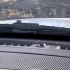 Duck attacks car - Guard Duck