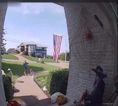 Leaving a treat for delivery drivers (LOUD)