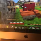 Fuck it, sheep sex