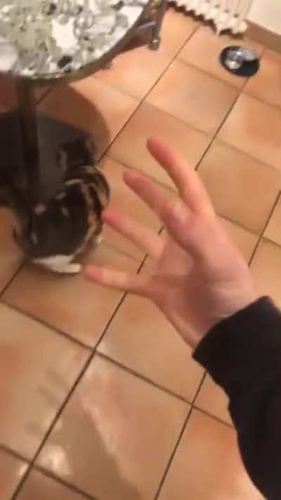 Za hando