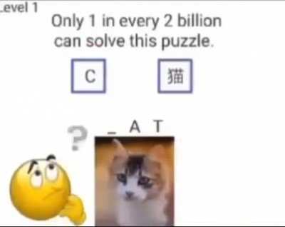 Wich anser ?