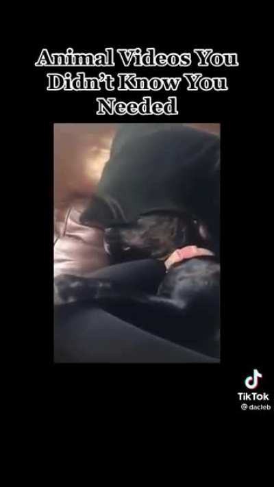 Found this on TikTok today