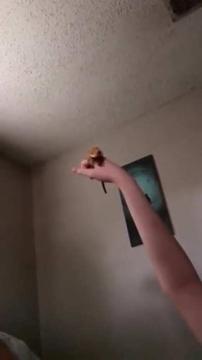 Flying