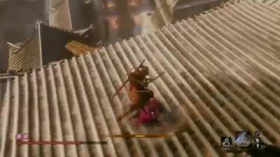 Never bring a dog to a shinobi fight.