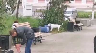 Walking the dog