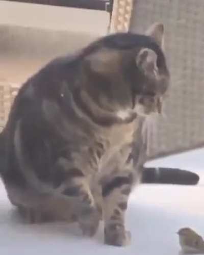 Is he ok?