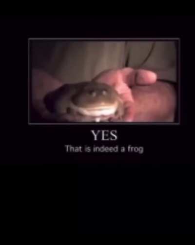 indeed
