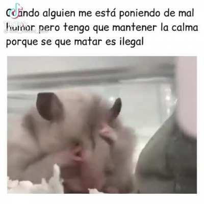 Estoy a punto de... 
