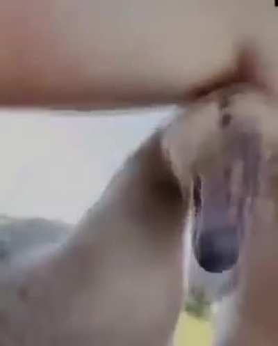 Ouch!