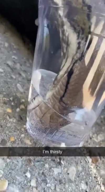 Thirsty guy