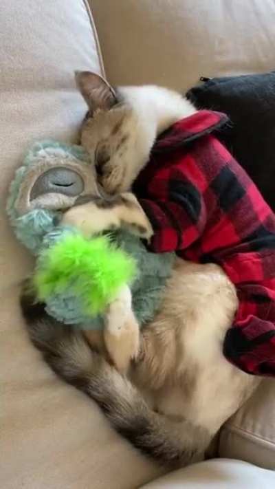 Немного милоты