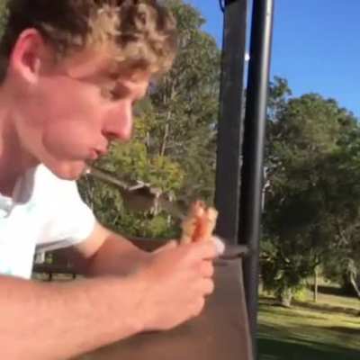 What could go wrong if I eat next to the bird?