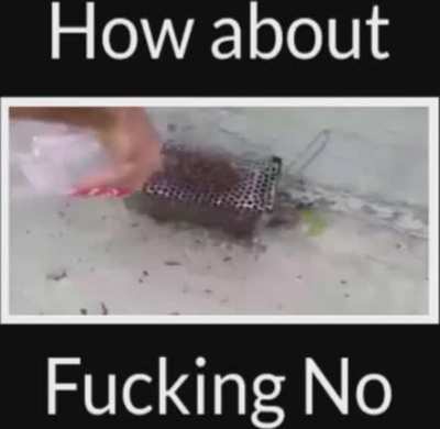 How about f*cking no