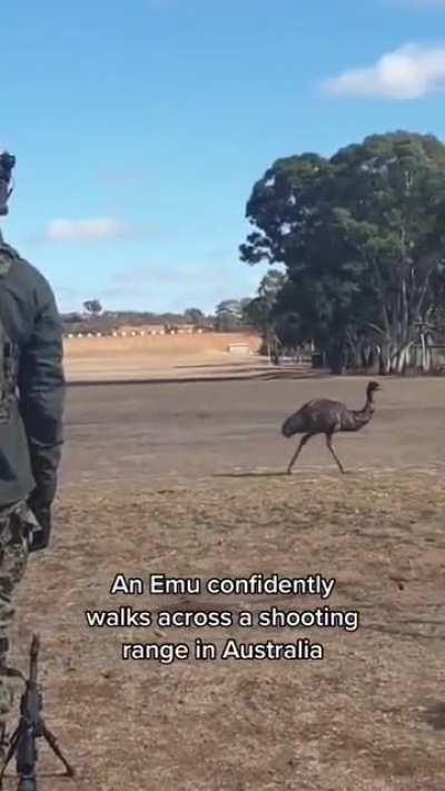 It’s about sending a message