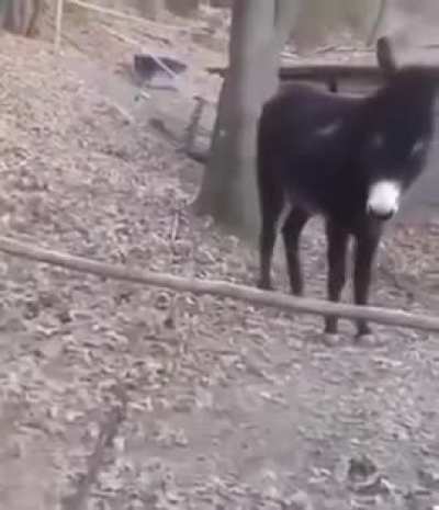 He’s clearly not as athletic as the others