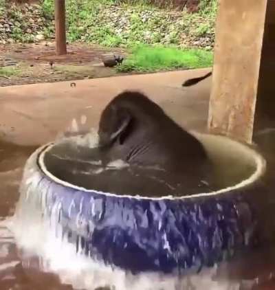 Happy bath time