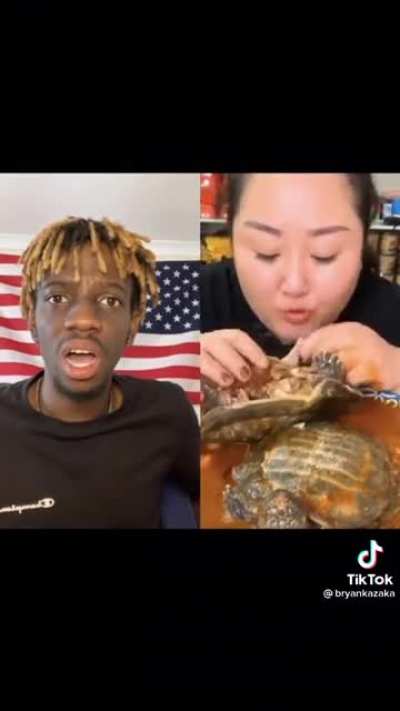 sabe te turtles