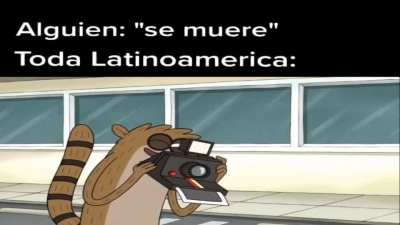 xd