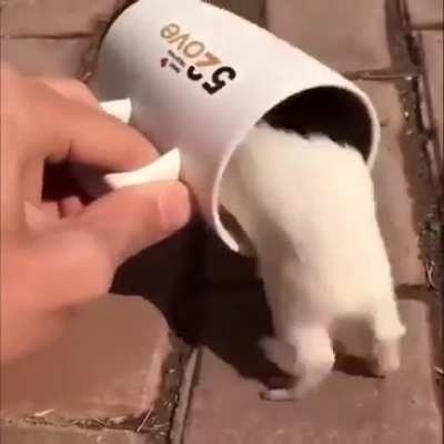 Coffee problem