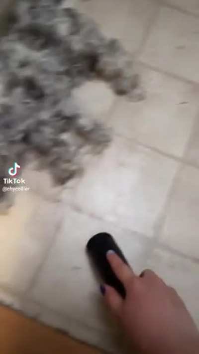 bora limpa o banheiro