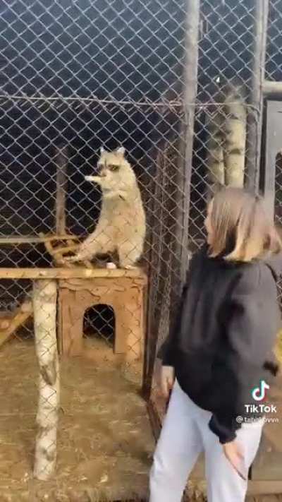 Guardian of the Glaxy