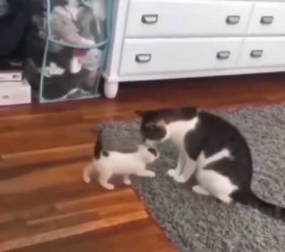 What?