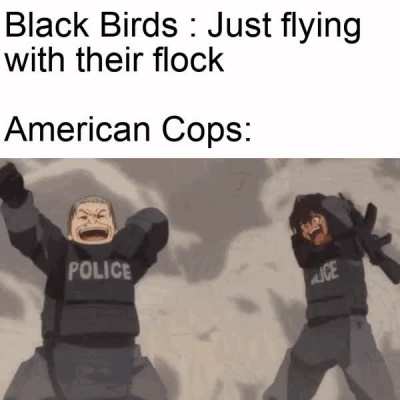 what do you mean the birds didnt have drugs , how were they so high then