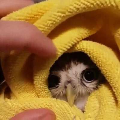 Keeping warm