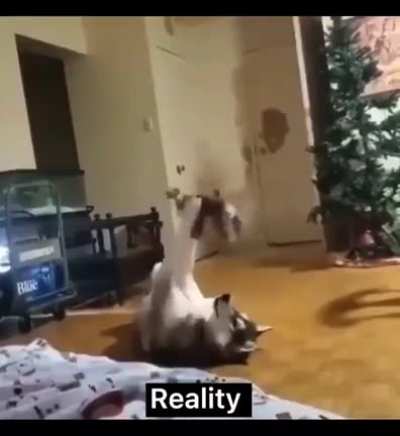 Ожида<wbr>ние / реаль<wbr>ность