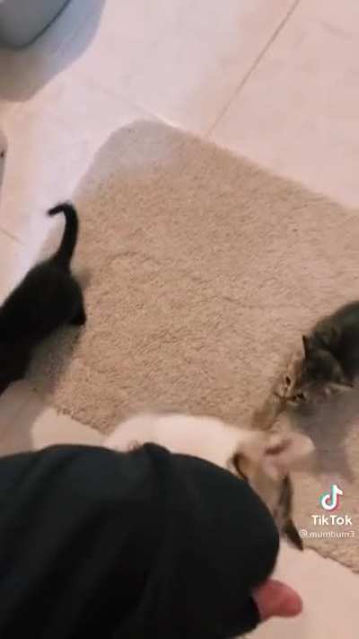 The claw has chosen