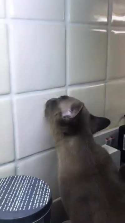To attac