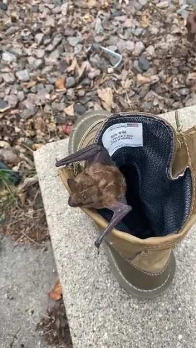 My boot felt a little small...