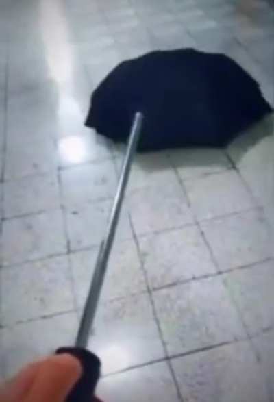 What color is your umbrella?
