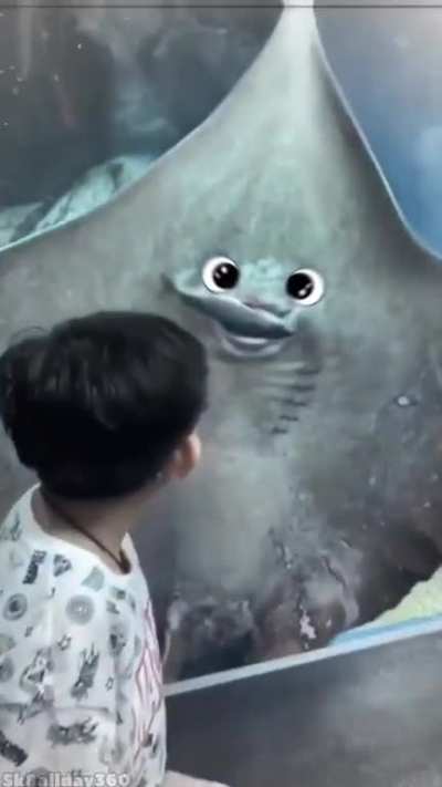 nom nom nom