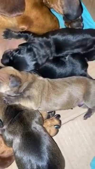 More babies content