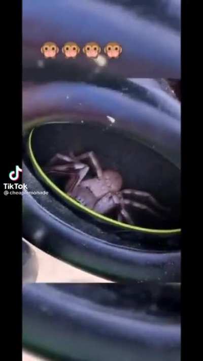 Nope, Nope, Nope, Nope, Nope, Nope...