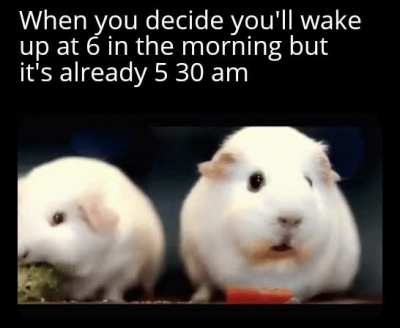 Guess 30 min sleep?