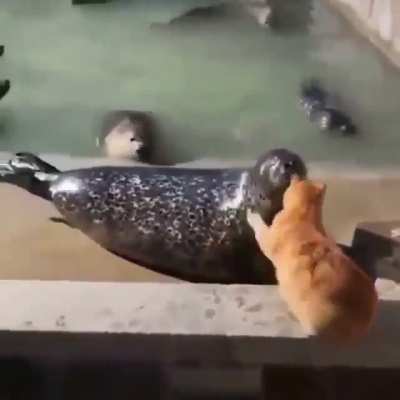 And after that moment he was never the same again
