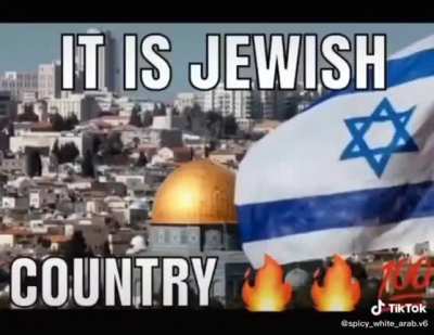 🇵🇸