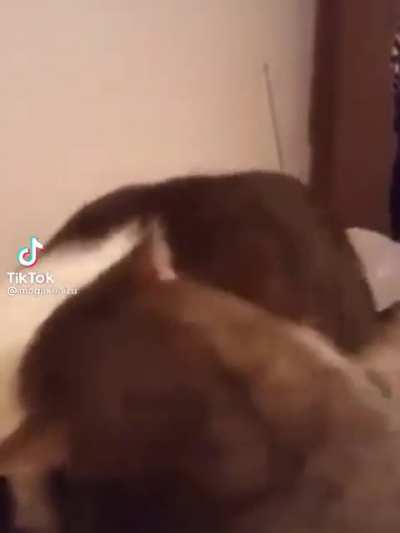 AAAAAAA