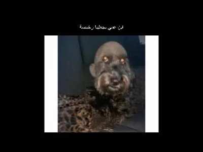 ابن عمي يجعلها رخيصة 🔥😈