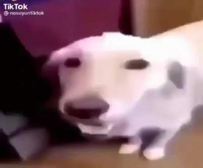 ඞ