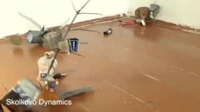 Upstairs Neighbours Robots by Skolkovo Dynamics