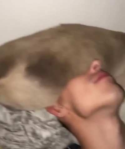 night mask