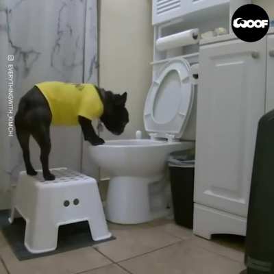 Potty training has been going well! 😂🚽