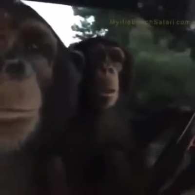 Hey! Monke weeb